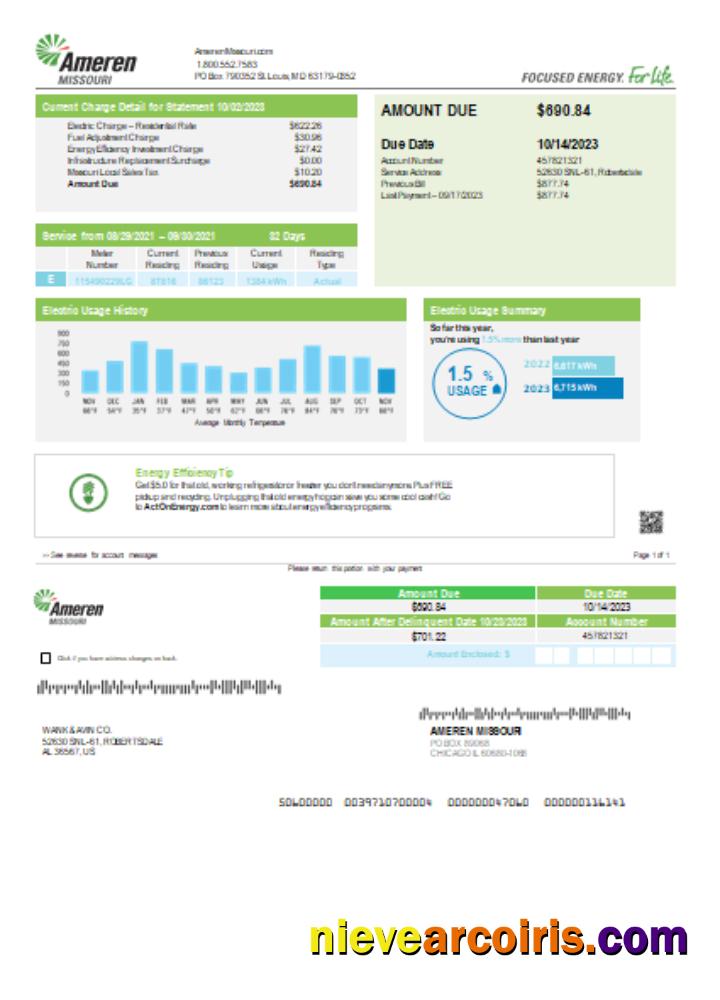 Ameren Missouri electricity utility business bill, page 1